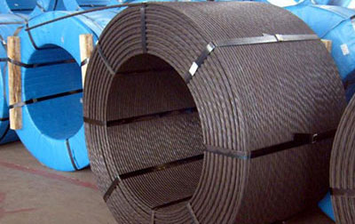 荆州预应力钢绞线价格 视频|陈行甲：带大家看看深圳的另一面，藏在钢筋森林背后的那一抹极致的温柔